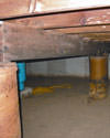 Mold and rot thriving in a dirt floor crawl space in Dallas
