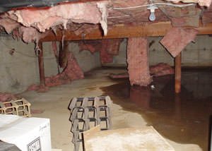 fiberglass insulation dripping off the ceiling of a crawl space in Lewisville.