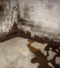 Water seeping through a concrete wall in a Allen basement