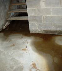Flooding floor cracks by a hatchway door in Mansfield