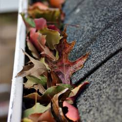 Clogged gutters filled with fall leaves  in Hurst