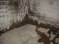 flooded basement with leaky basement walls in Duncanville, TX