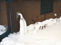 IceGuard® Installed Plano